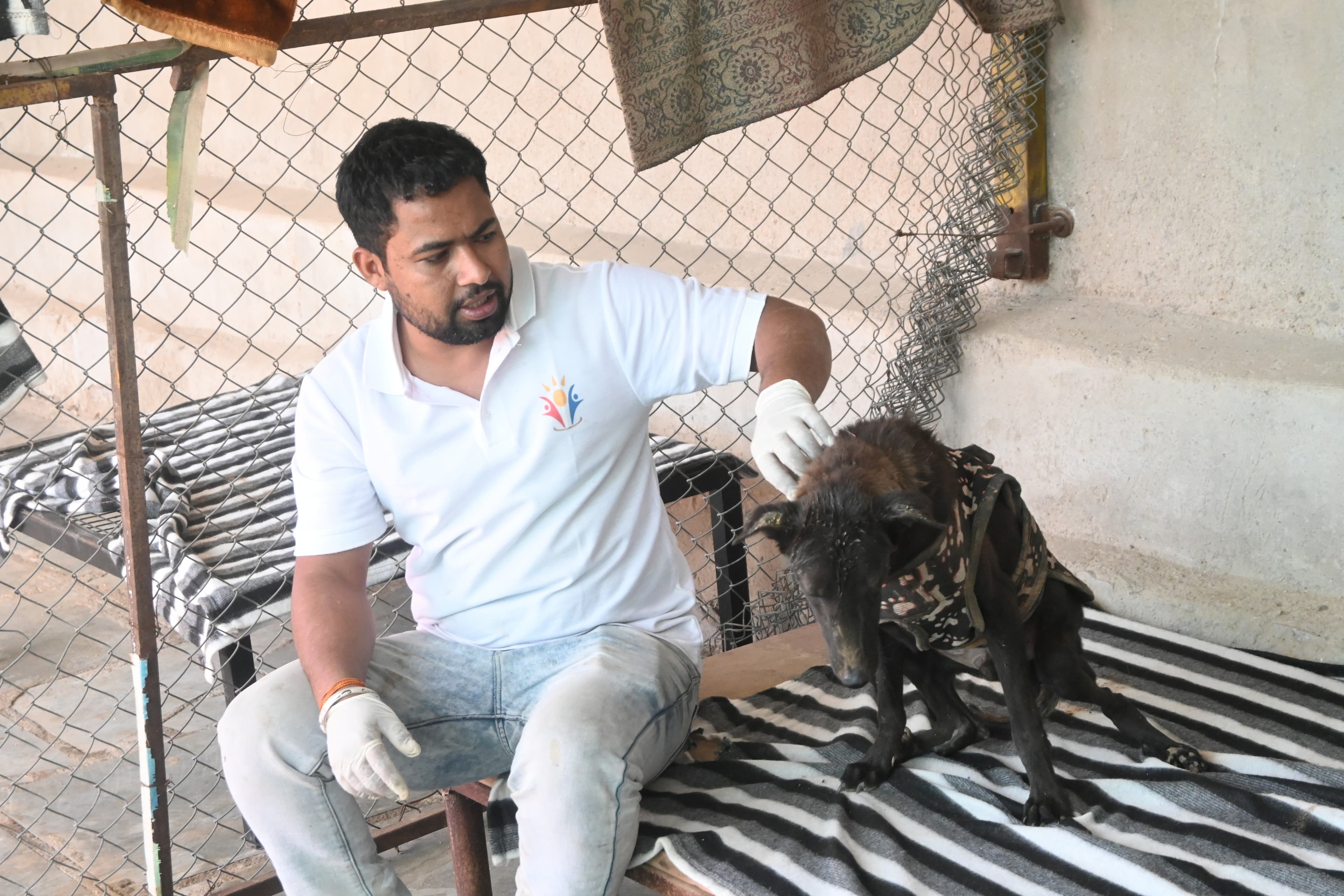 Happy dogs and volunteers at the Ujala Foundation adoption drive