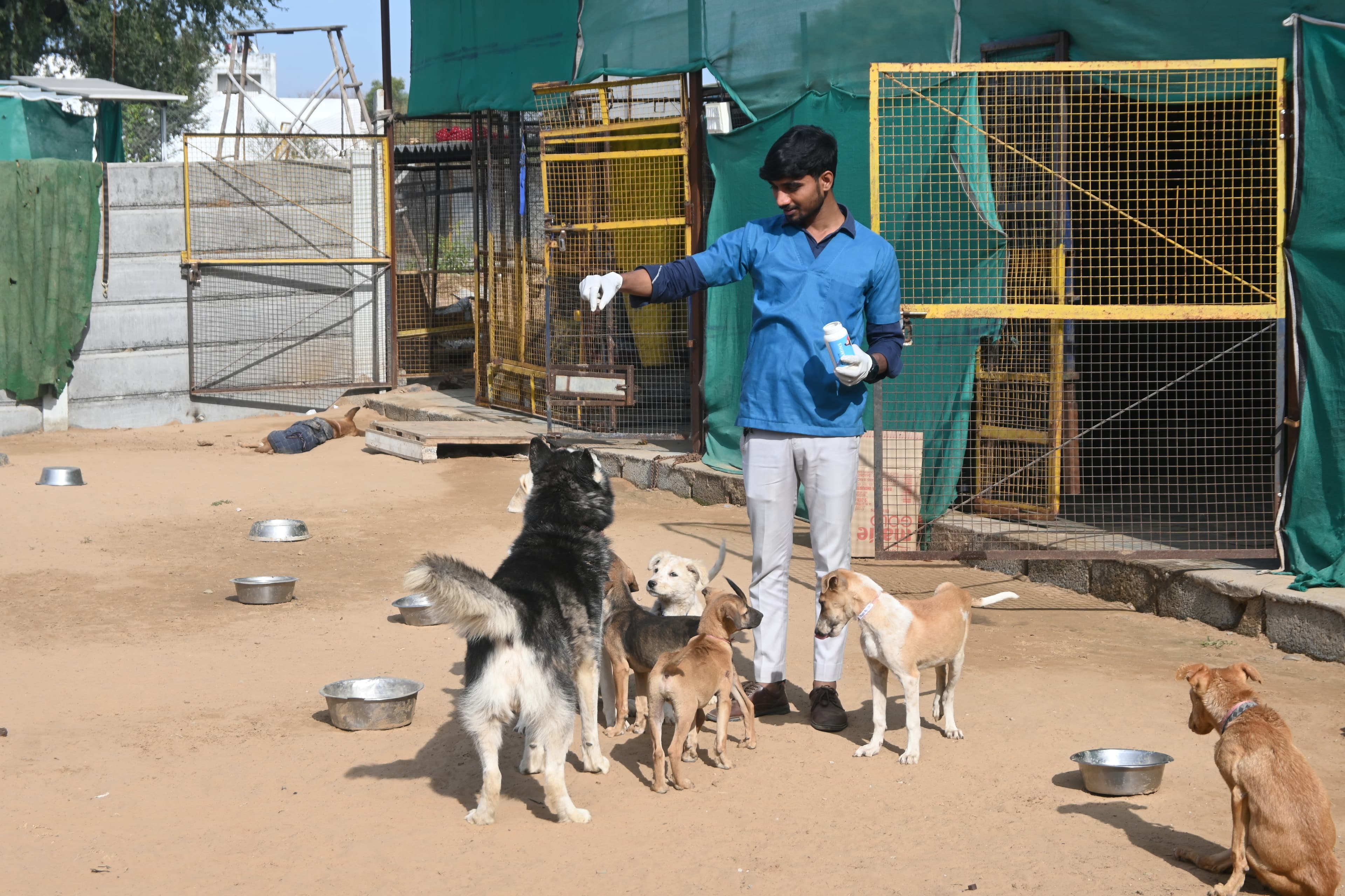 Volunteer team with rescued animals at Ujala Foundation